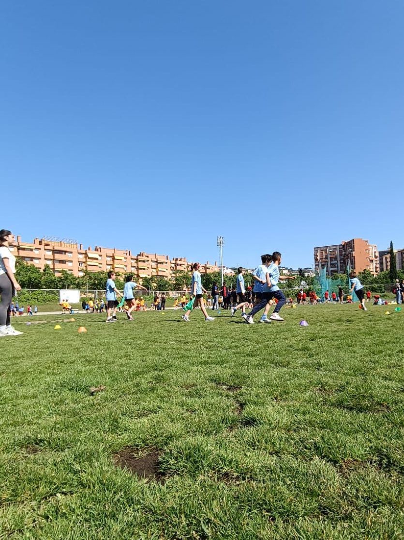 Diada de l'Activitat Física